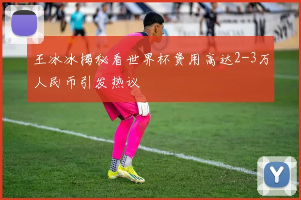 王冰冰揭秘看世界杯费用高达2-3万人民币引发热议