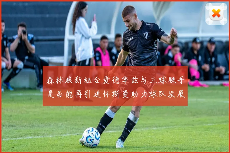 森林狼新组合爱德华兹与三球联手是否能再引进怀斯曼助力球队发展