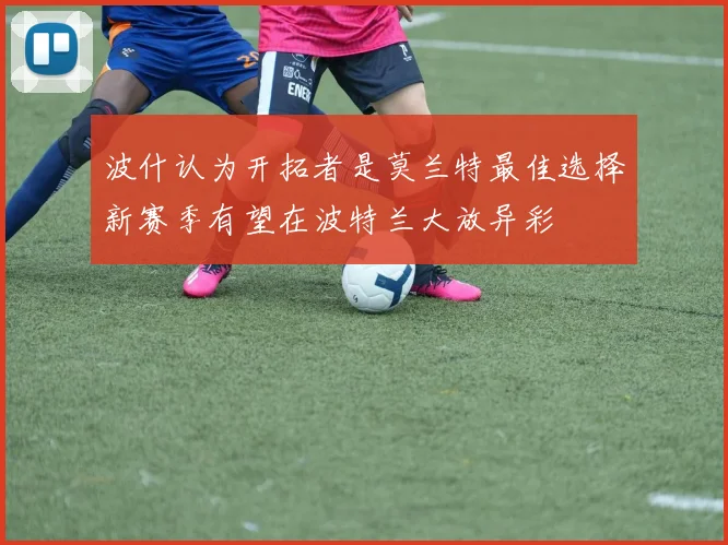 波什认为开拓者是莫兰特最佳选择新赛季有望在波特兰大放异彩